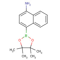 1218790-22-7 4-(4,4,5,5-tetramethyl-1,3,2-dioxaborolan-2-yl)naphthalen-1-amine chemical structure