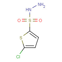 78380-28-6 5-chlorothiophene-2-sulfonohydrazide chemical structure