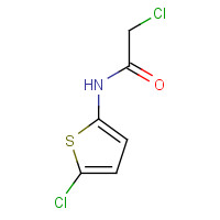 881742-93-4 2-chloro-N-(5-chlorothiophen-2-yl)acetamide chemical structure