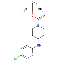 939986-10-4 tert-butyl 4-[(6-chloropyridazin-3-yl)amino]piperidine-1-carboxylate chemical structure