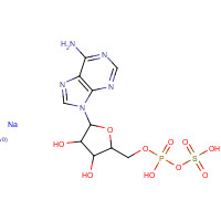 102029-95-8 [5-(6-aminopurin-9-yl)-3,4-dihydroxyoxolan-2-yl]methyl sulfo hydrogen phosphate;sodium chemical structure