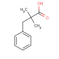 5669-14-7 2,2-dimethyl-3-phenylpropanoic acid chemical structure