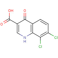 144061-33-6 7,8-dichloro-4-oxo-1H-quinoline-3-carboxylic acid chemical structure