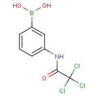 276669-74-0 [3-[(2,2,2-trichloroacetyl)amino]phenyl]boronic acid chemical structure