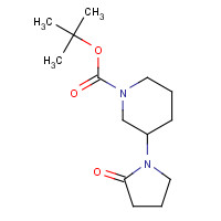 1240315-23-4 tert-butyl 3-(2-oxopyrrolidin-1-yl)piperidine-1-carboxylate chemical structure