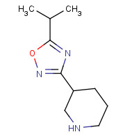 1251999-18-4 3-piperidin-3-yl-5-propan-2-yl-1,2,4-oxadiazole chemical structure