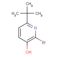 1196074-25-5 2-bromo-6-tert-butylpyridin-3-ol chemical structure