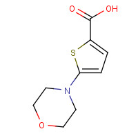 332345-27-4 5-morpholin-4-ylthiophene-2-carboxylic acid chemical structure