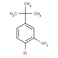 58164-14-0 2-bromo-5-tert-butylaniline chemical structure
