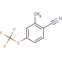 261951-92-2 2-methyl-4-(trifluoromethoxy)benzonitrile chemical structure
