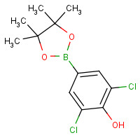 1003298-87-0 2,6-dichloro-4-(4,4,5,5-tetramethyl-1,3,2-dioxaborolan-2-yl)phenol chemical structure