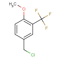 1005207-24-8 4-(chloromethyl)-1-methoxy-2-(trifluoromethyl)benzene chemical structure