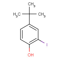 38941-98-9 4-tert-butyl-2-iodophenol chemical structure
