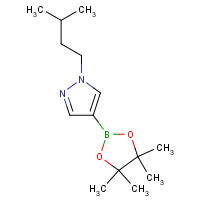 777063-41-9 1-(3-methylbutyl)-4-(4,4,5,5-tetramethyl-1,3,2-dioxaborolan-2-yl)pyrazole chemical structure