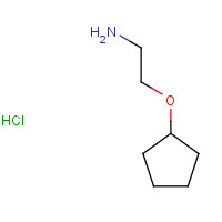1181457-94-2 2-cyclopentyloxyethanamine;hydrochloride chemical structure