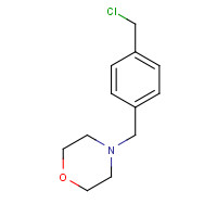 497843-73-9 4-[[4-(chloromethyl)phenyl]methyl]morpholine chemical structure