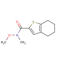 1346672-52-3 N-methoxy-N-methyl-4,5,6,7-tetrahydro-1-benzothiophene-2-carboxamide chemical structure