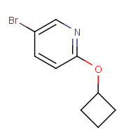 1159816-70-2 5-bromo-2-cyclobutyloxypyridine chemical structure