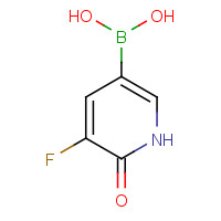 1141886-36-3 (5-fluoro-6-oxo-1H-pyridin-3-yl)boronic acid chemical structure