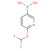 1354290-88-2 [6-(difluoromethoxy)pyridin-3-yl]boronic acid chemical structure