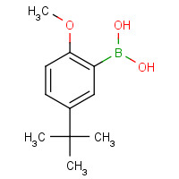 128733-85-7 (5-tert-butyl-2-methoxyphenyl)boronic acid chemical structure
