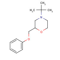 119491-60-0 4-tert-butyl-2-(phenoxymethyl)morpholine chemical structure