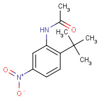 342045-15-2 N-(2-tert-butyl-5-nitrophenyl)acetamide chemical structure