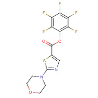 941716-88-7 (2,3,4,5,6-pentafluorophenyl) 2-morpholin-4-yl-1,3-thiazole-5-carboxylate chemical structure