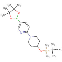 1020658-62-1 tert-butyl-dimethyl-[1-[5-(4,4,5,5-tetramethyl-1,3,2-dioxaborolan-2-yl)pyridin-2-yl]piperidin-4-yl]oxysilane chemical structure