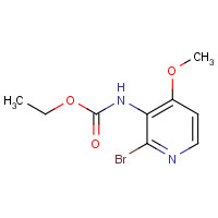 1313267-55-8 ethyl N-(2-bromo-4-methoxypyridin-3-yl)carbamate chemical structure
