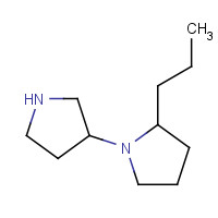 1228674-19-8 2-propyl-1-pyrrolidin-3-ylpyrrolidine chemical structure