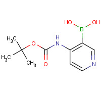 863752-59-4 [4-[(2-methylpropan-2-yl)oxycarbonylamino]pyridin-3-yl]boronic acid chemical structure