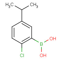 875550-89-3 (2-chloro-5-propan-2-ylphenyl)boronic acid chemical structure