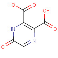 73403-48-2 6-oxo-1H-pyrazine-2,3-dicarboxylic acid chemical structure