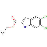 53995-78-1 ethyl 5,6-dichloro-1H-indole-2-carboxylate chemical structure