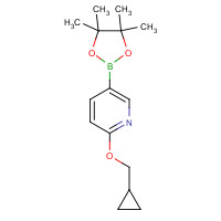947191-69-7 2-(cyclopropylmethoxy)-5-(4,4,5,5-tetramethyl-1,3,2-dioxaborolan-2-yl)pyridine chemical structure