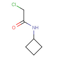 1192687-51-6 2-chloro-N-cyclobutylacetamide chemical structure