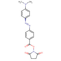 146998-31-4 (2,5-dioxopyrrolidin-1-yl) 4-[[4-(dimethylamino)phenyl]diazenyl]benzoate chemical structure