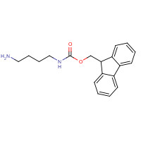117048-49-4 9H-fluoren-9-ylmethyl N-(4-aminobutyl)carbamate chemical structure