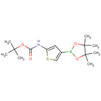 943323-78-2 tert-butyl N-[4-(4,4,5,5-tetramethyl-1,3,2-dioxaborolan-2-yl)thiophen-2-yl]carbamate chemical structure