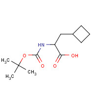 565456-75-9 3-cyclobutyl-2-[(2-methylpropan-2-yl)oxycarbonylamino]propanoic acid chemical structure