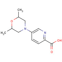 1301133-90-3 5-(2,6-dimethylmorpholin-4-yl)pyridine-2-carboxylic acid chemical structure