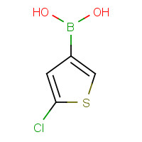 199659-23-9 (5-chlorothiophen-3-yl)boronic acid chemical structure