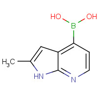 1014614-07-3 (2-methyl-1H-pyrrolo[2,3-b]pyridin-4-yl)boronic acid chemical structure