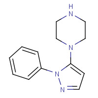 503146-42-7 1-(2-phenylpyrazol-3-yl)piperazine chemical structure