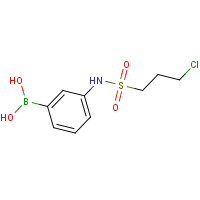 913835-50-4 [3-(3-chloropropylsulfonylamino)phenyl]boronic acid chemical structure