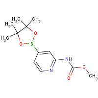 1353004-64-4 methyl N-[4-(4,4,5,5-tetramethyl-1,3,2-dioxaborolan-2-yl)pyridin-2-yl]carbamate chemical structure