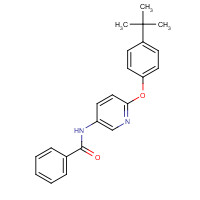 224804-51-7 N-[6-(4-tert-butylphenoxy)pyridin-3-yl]benzamide chemical structure