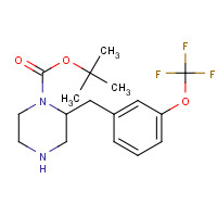 886774-02-3 tert-butyl 2-[[3-(trifluoromethoxy)phenyl]methyl]piperazine-1-carboxylate chemical structure