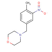 750632-03-2 4-[(4-methyl-3-nitrophenyl)methyl]morpholine chemical structure